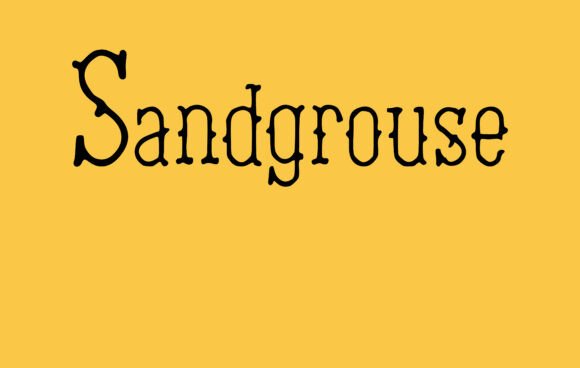 Sandgrouse: A Bold Serif for Impact